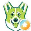 Corgi Martini, verified Google reviewer