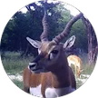 Native Texan, verified Google reviewer